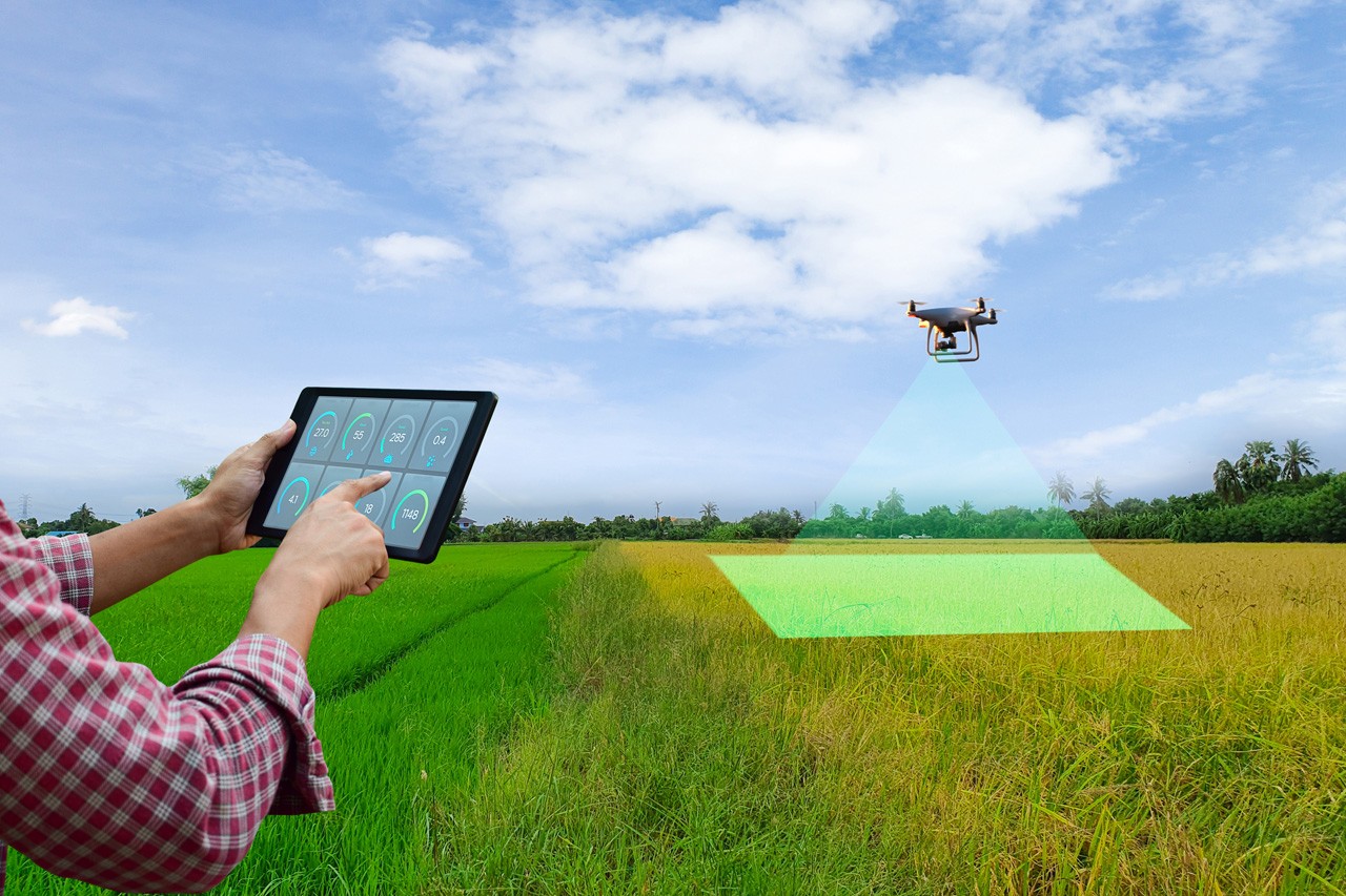 How Drone Mapping Services Are Transforming Aerial Data Collection?